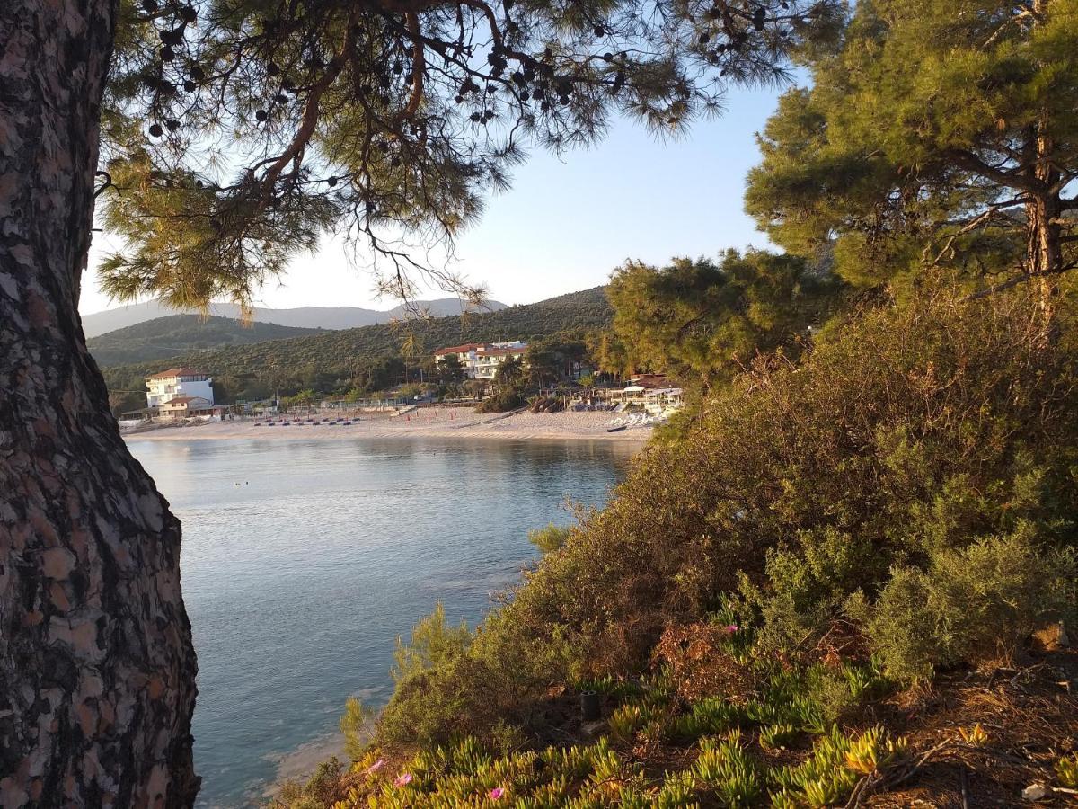 Beach Hotel Kapahi Pefkari Dış mekan fotoğraf